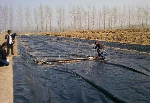 复合橙子视频app在线下载膜在红旗河工程应用 所向披靡