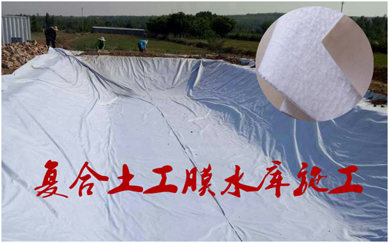 橙子视频app在线下载膜在底板的作用不言而喻