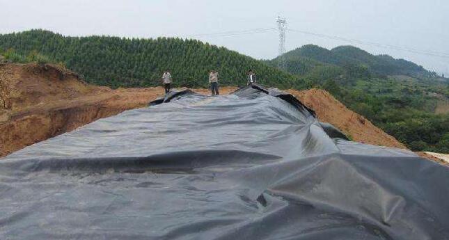 橙子视频app在线下载膜在存放时的注意事项以及有哪些特性