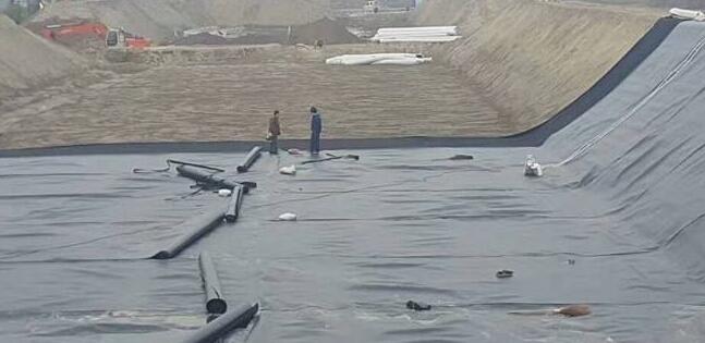 关于橙子视频app在线下载膜在存放时应该注意那些事项
