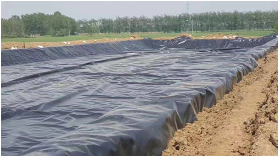水库橙子视频app在线下载膜气胀现象是怎么发生的