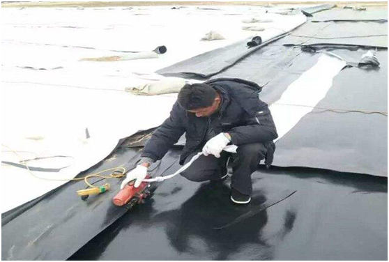 施工经验得出不同厚度橙子视频app在线下载膜使用特点