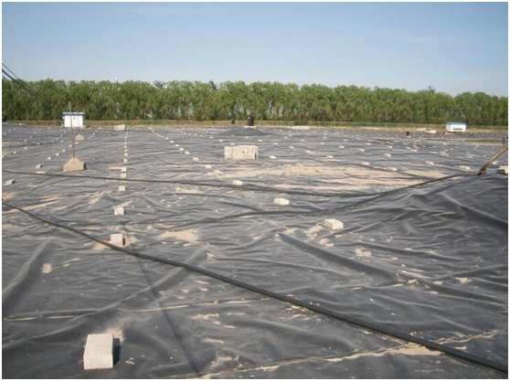 橙子视频app在线下载膜在填埋场填埋区域临时覆盖要求