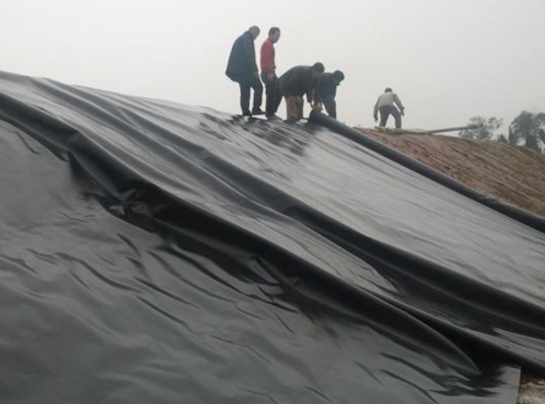 橙子视频app在线下载膜在道路防渗施工中应用的核心焦点
