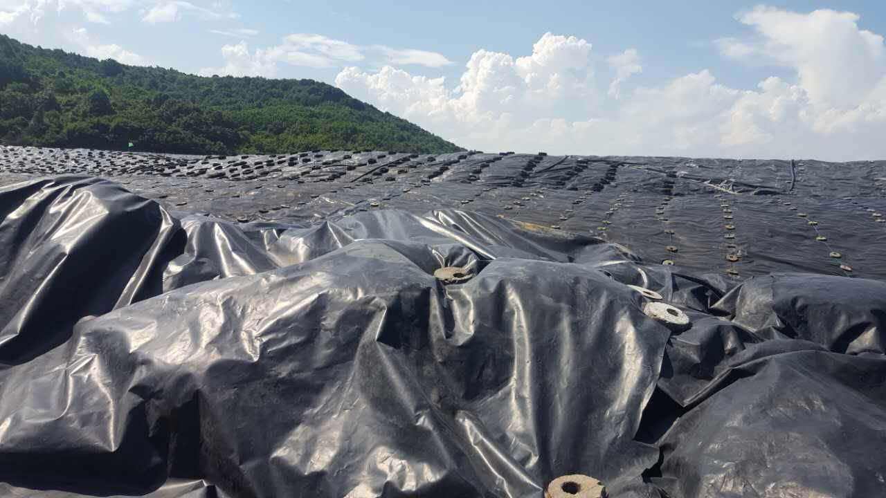 戈壁滩蓄水池选用HDPE橙子视频app在线下载膜的缘由