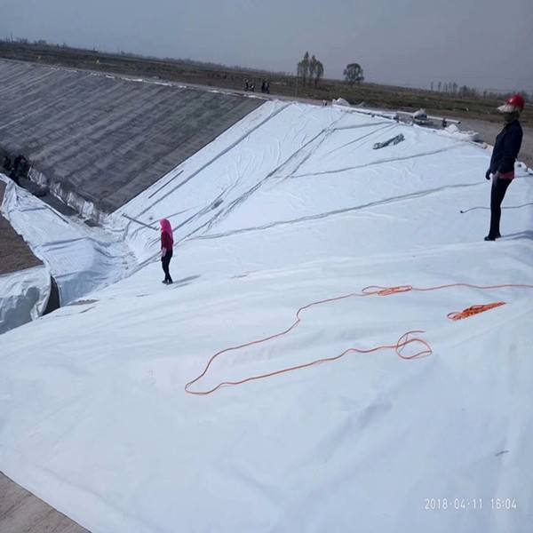 复合橙子视频app在线下载膜
