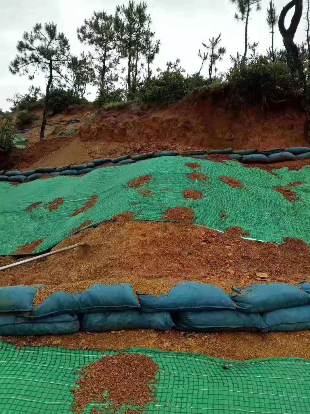 新型橙子视频app在线下载材料护坡建“会呼吸”的生态驳岸