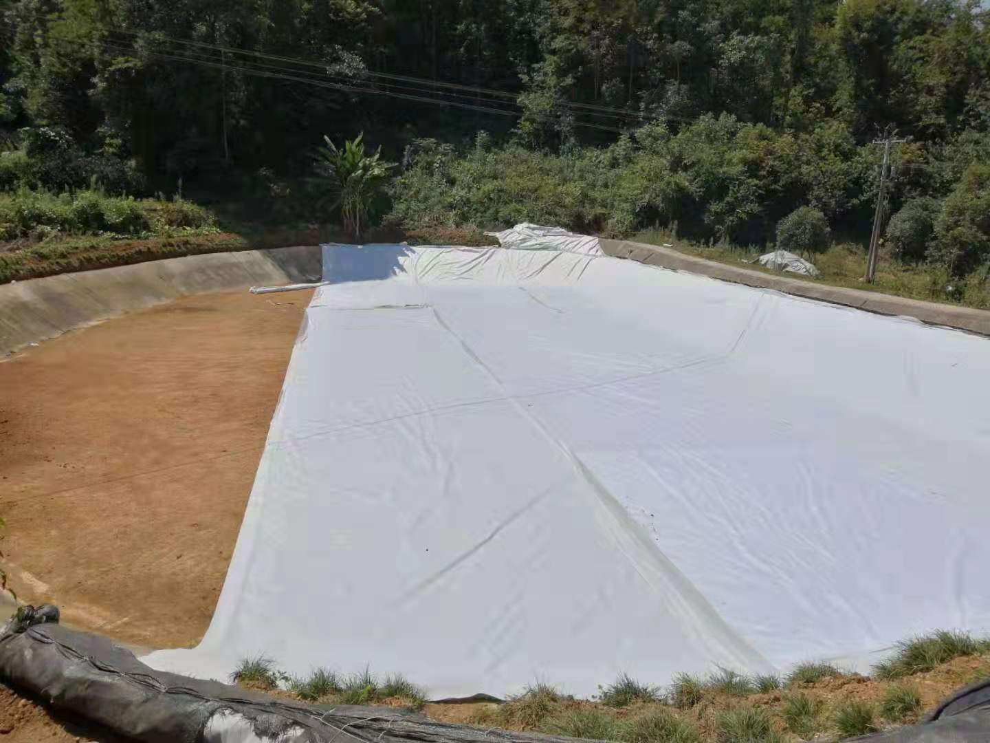 复合橙子视频app在线下载膜防水层