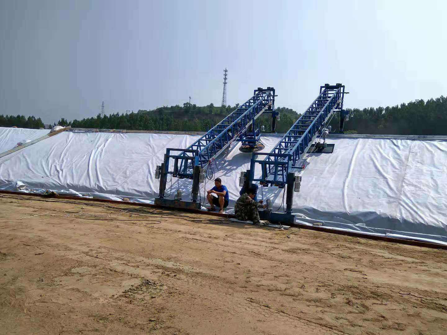橙子视频app在线下载布反滤层区域由哪些结构构成？
