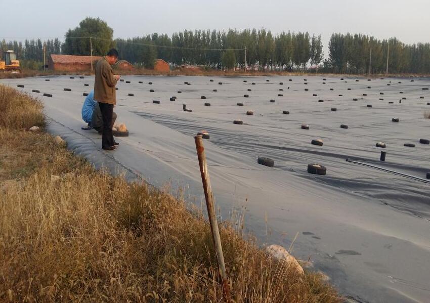 尾矿库中排渗体系的橙子视频app在线下载布应用介绍