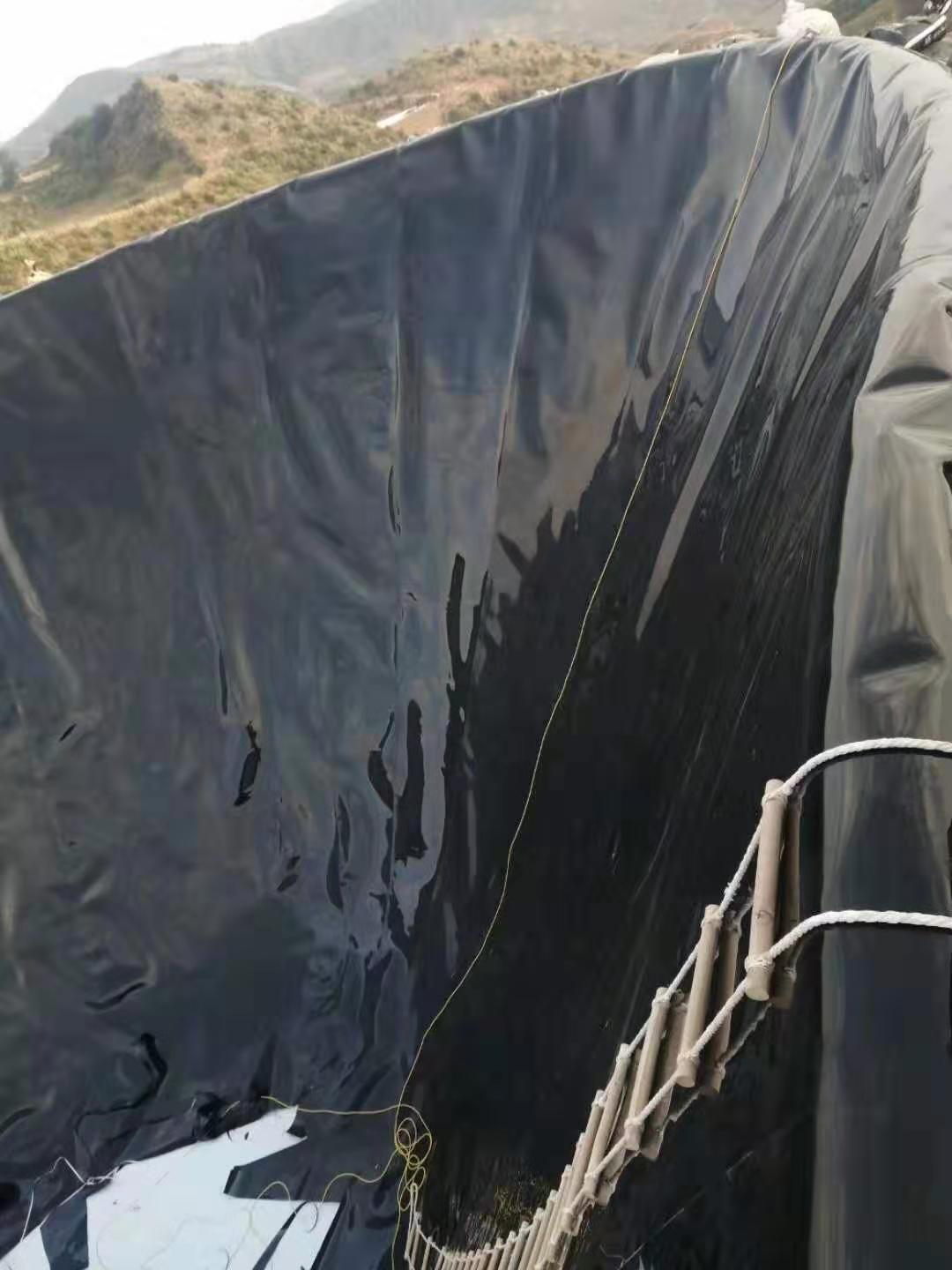 PE橙子视频app在线下载膜现场快速技术的开发