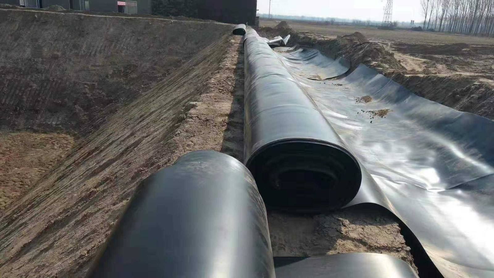 橙子视频app在线下载膜垂直铺设工程造价