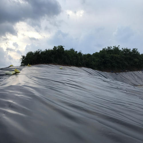 橙子视频app在线下载膜施工方案相应步骤对橙子视频app在线下载膜的伤害之三