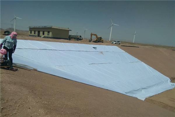 橙子视频app在线下载合成材料在航道整治服务区锚地工程中的应用