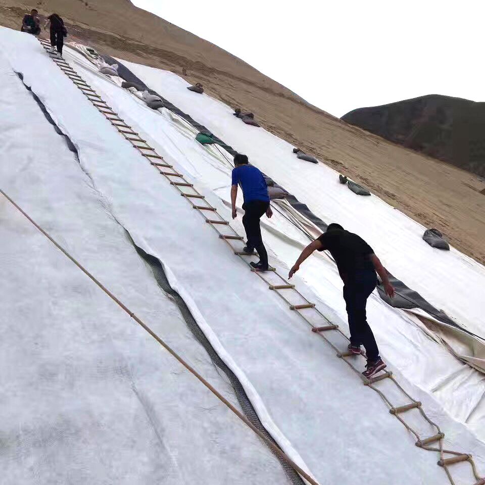 复合橙子视频app在线下载膜的施工及质量控制