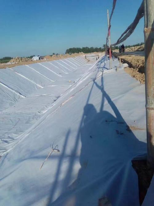 河道治理采用橙子视频app在线下载布施工工艺的原因分析