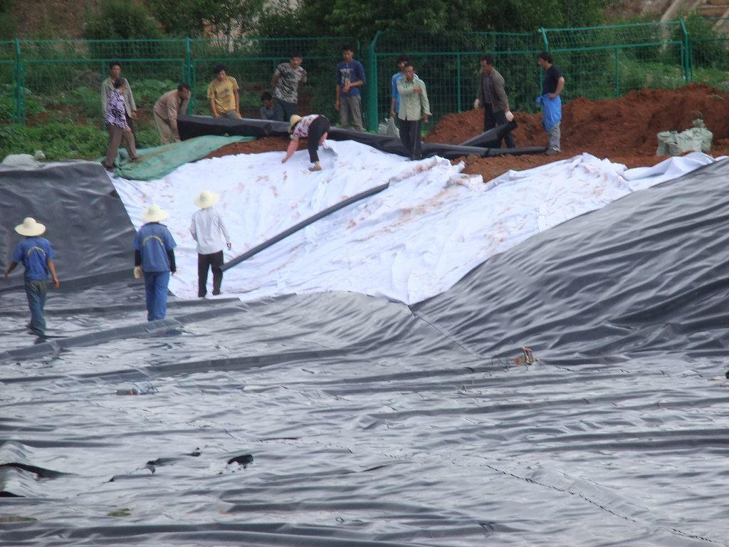高密聚乙烯(hdpe)橙子视频app在线下载膜在填埋复合防渗层中的应用