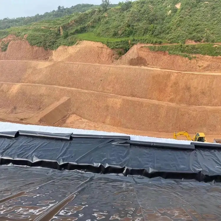 橙子视频app在线下载膜+压实防渗黏土的复合衬垫系统小约1个数量级