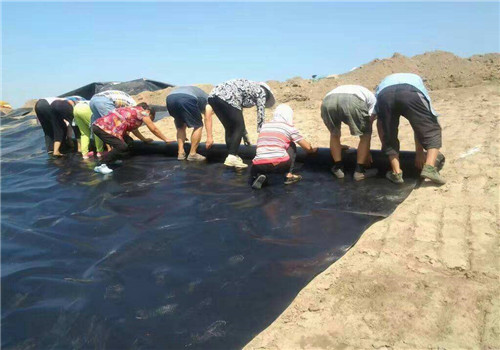 橙子视频app在线下载膜施工过程中如何进行有效防护