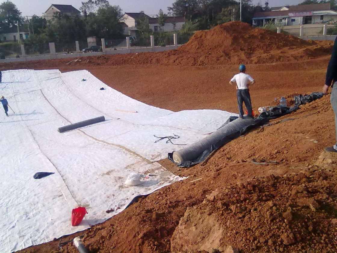 钠基橙子视频ios苹果下载的铺设及锚固
