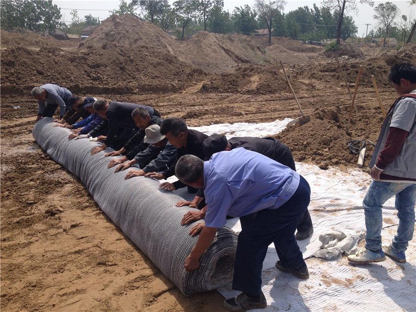 橙子视频ios苹果下载在垃圾填埋场处于哪个位置