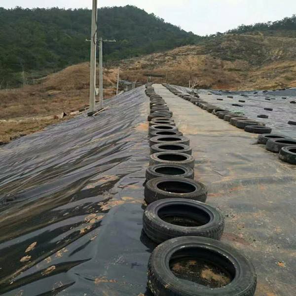 环保领域对橙子视频app在线下载合成材料的关注点是什么？
