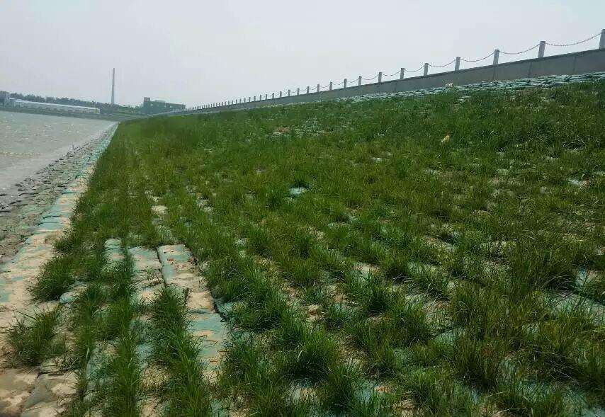 常用的海岛边坡修复技术有哪些？如何修复海岛边坡？
